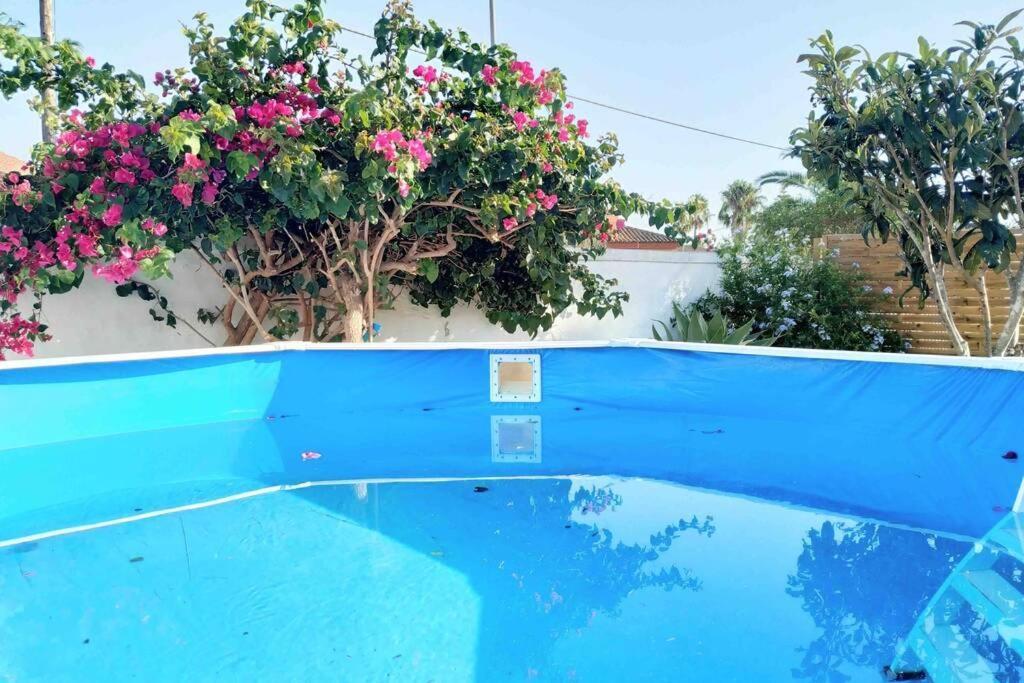 Apartamento Privado Con Jardin, Piscina Elevada Y Bbq Chiclana de la Frontera Exterior photo